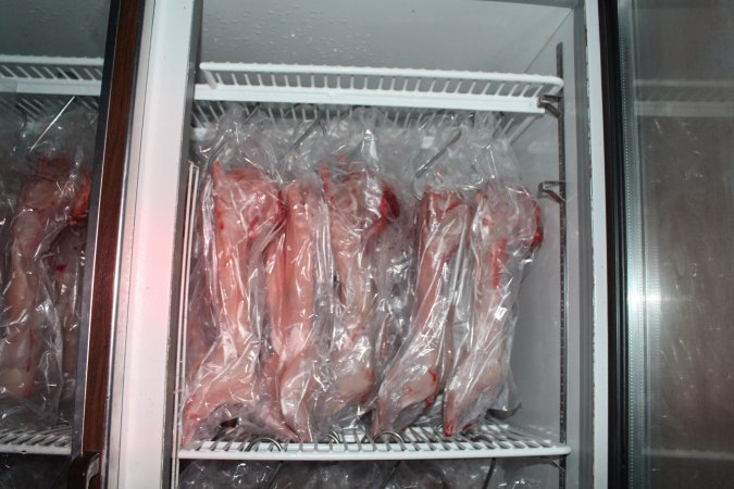 Slaughtered, skinned rabbits hanging in fridge