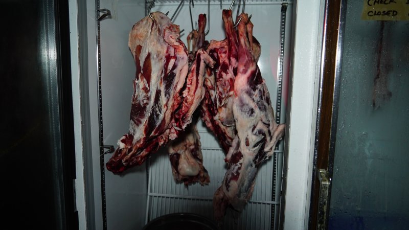 Flesh of unknown slaughtered animals hanging in fridge