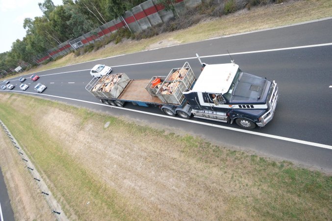 Cow skins in truck on highway