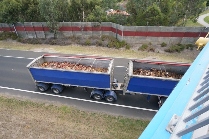 Bones and waste material from slaughterhouse for rendering