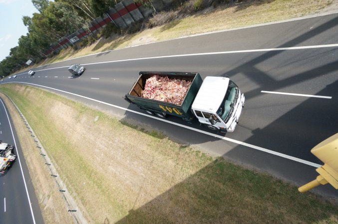 Bones and waste material from slaughterhouse for rendering