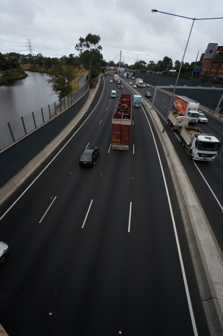 Cattle in truck on highway