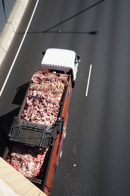 Bones and waste material from slaughterhouse for rendering