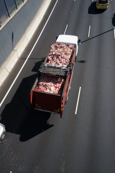 Bones and waste material from slaughterhouse for rendering