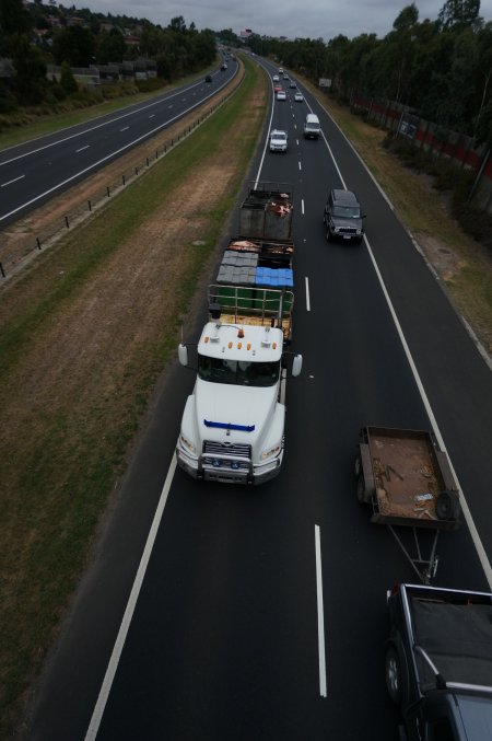 Cow skins in truck on highway