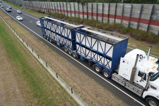 Empty cattle truck on highway