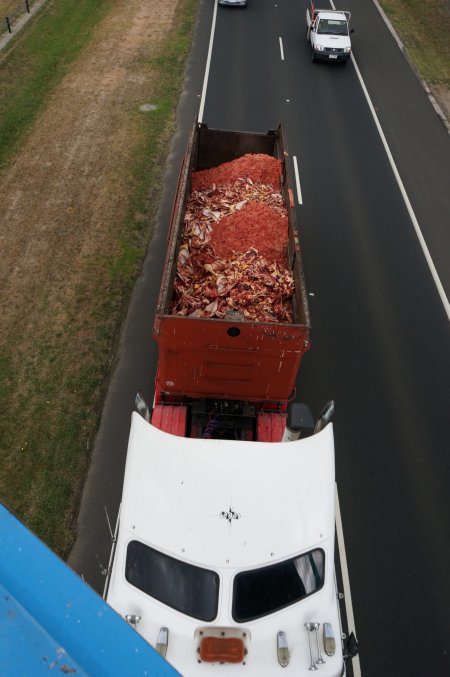 Bones and waste material from slaughterhouse for rendering