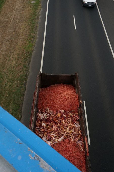 Bones and waste material from slaughterhouse for rendering