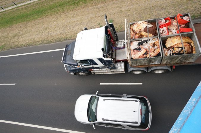 Cow skins on truck