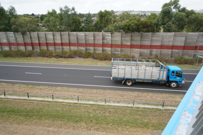 Cattle truck on highway