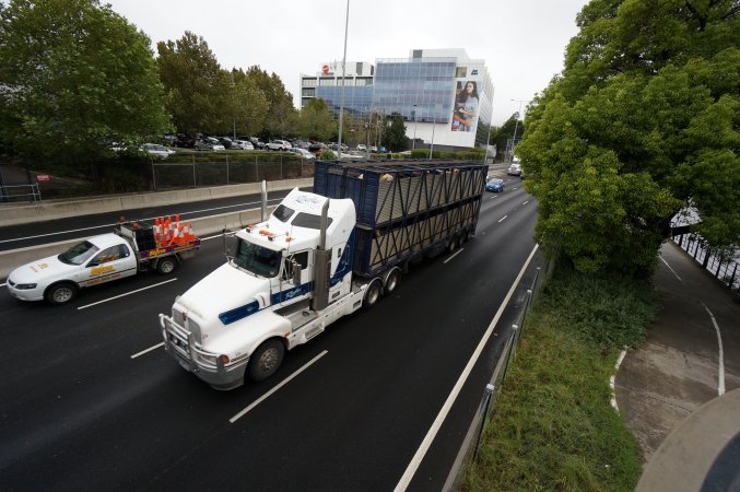 Cattle truck on highway