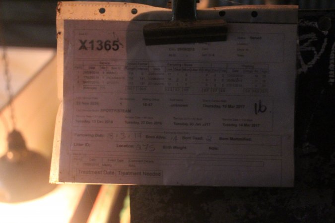 Clipboard with details of sow in crate