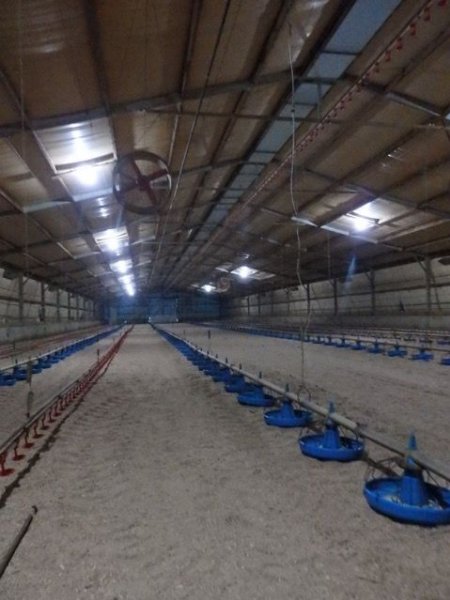 PoultryFarmsAustralia.com.au listing photo