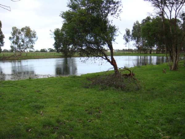 PoultryFarmsAustralia.com.au listing photo