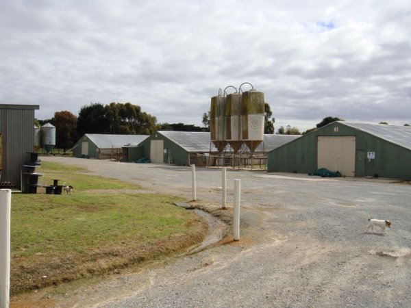 PoultryFarmsAustralia.com.au listing photo