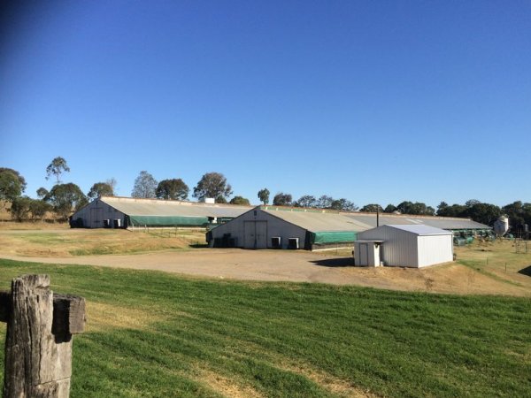 PoultryFarmsAustralia.com.au listing photo