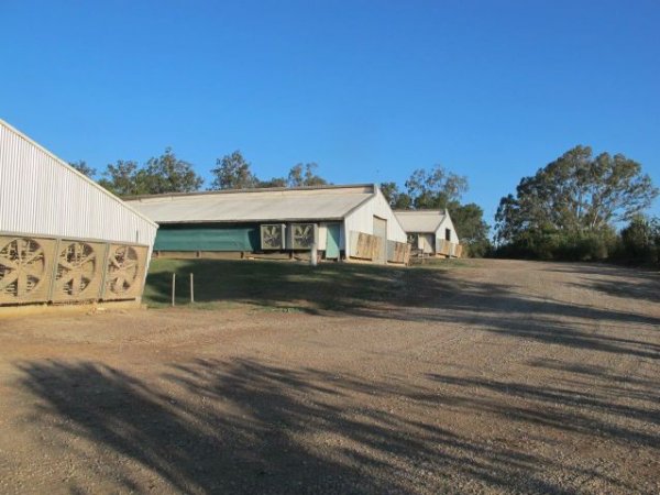 PoultryFarmsAustralia.com.au listing photo