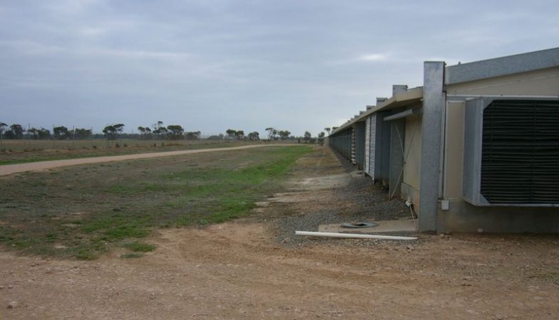 PoultryFarmsAustralia.com.au listing photo