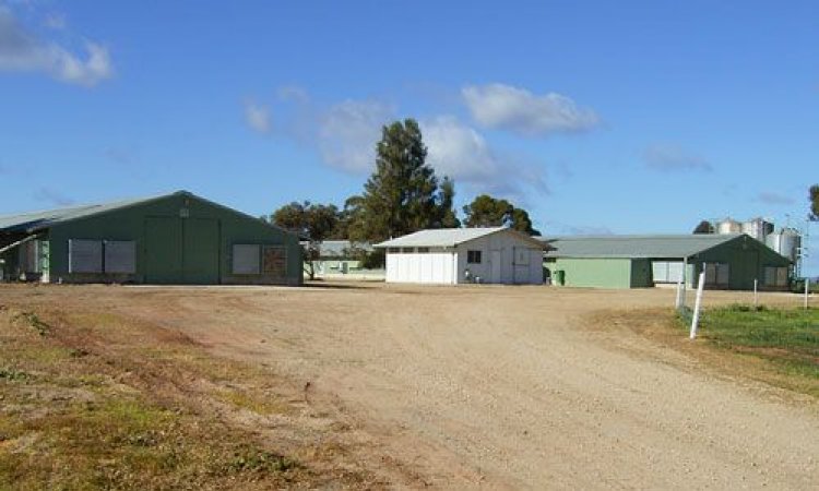 PoultryFarmsAustralia.com.au listing photo