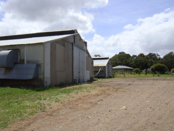 PoultryFarmsAustralia.com.au listing photo