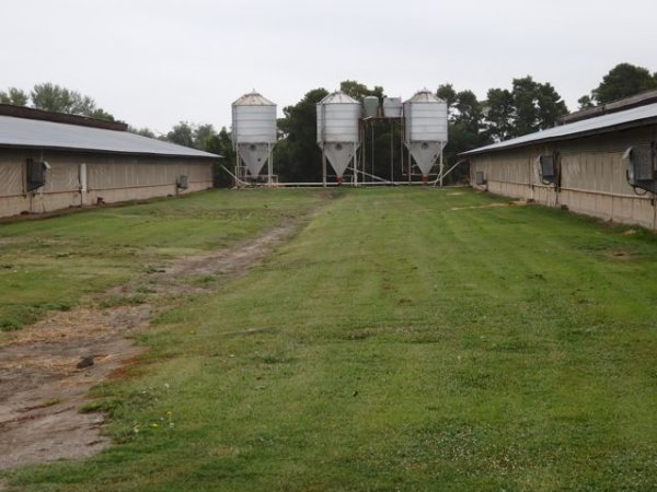 PoultryFarmsAustralia.com.au listing photo