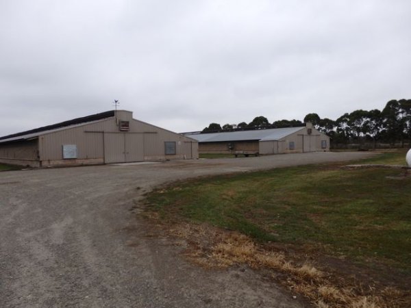 PoultryFarmsAustralia.com.au listing photo