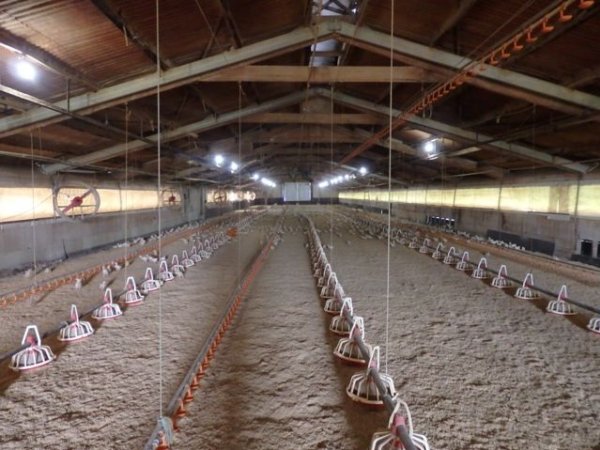 PoultryFarmsAustralia.com.au listing photo