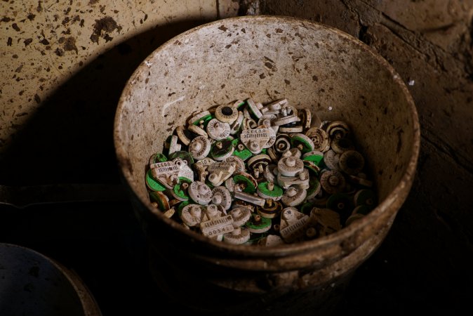 Ear tags taken from slaughtered cows