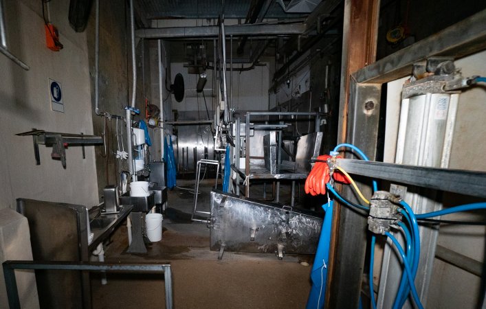 Cattle processing room