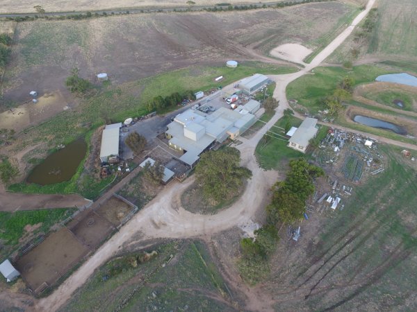 Aerial drone view of slaughterhouse