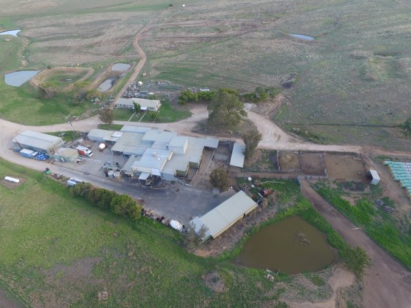 Aerial drone view of slaughterhouse