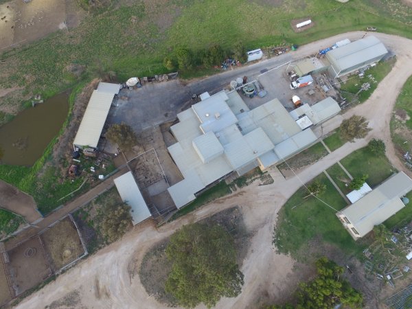 Aerial drone view of slaughterhouse