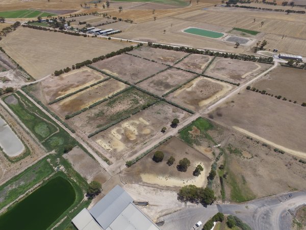 Aerial drone view of slaughterhouse