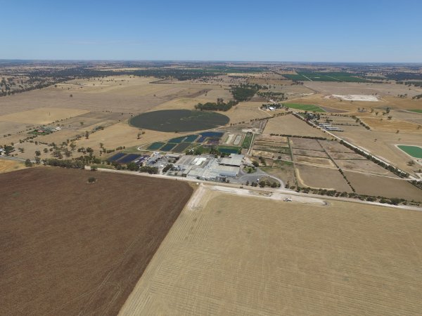 Aerial drone view of slaughterhouse