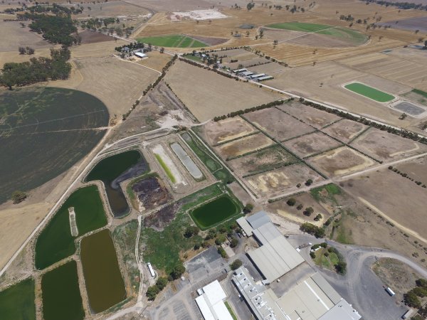 Aerial drone view of slaughterhouse