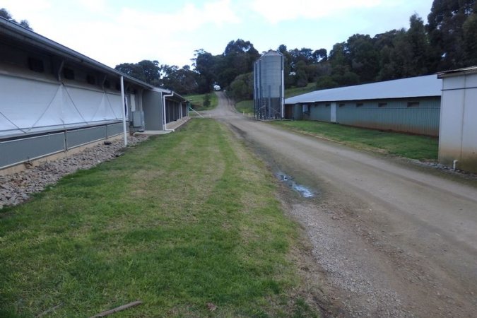 PoultryFarmsAustralia.com.au listing photo