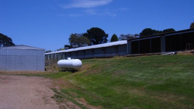 PoultryFarmsAustralia.com.au listing photo