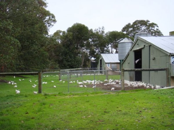 PoultryFarmsAustralia.com.au listing photo