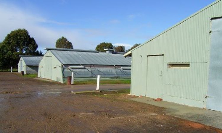 PoultryFarmsAustralia.com.au listing photo