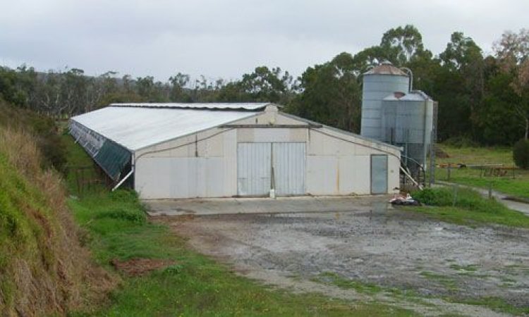 PoultryFarmsAustralia.com.au listing photo