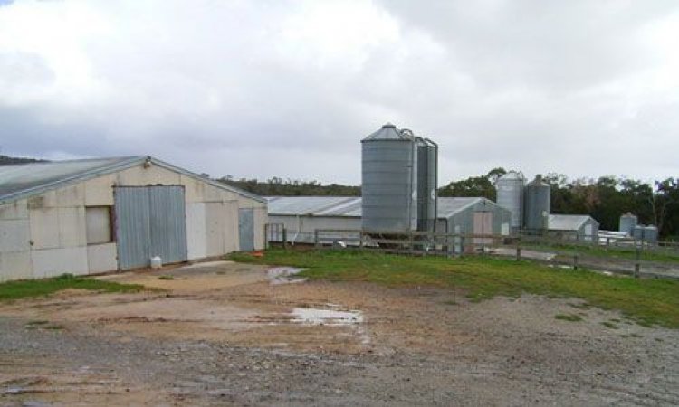 PoultryFarmsAustralia.com.au listing photo