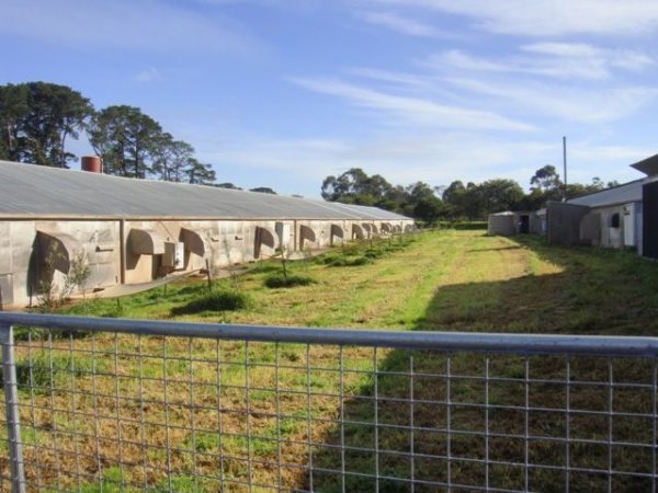 PoultryFarmsAustralia.com.au listing photo