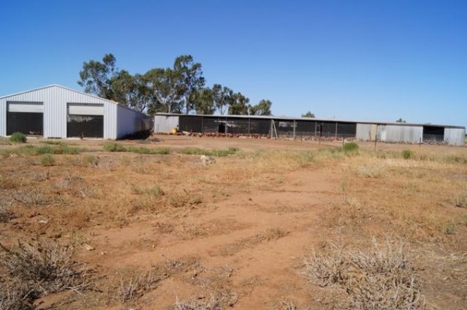 PoultryFarmsAustralia.com.au listing photo