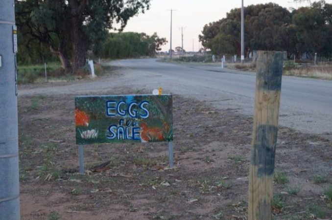 PoultryFarmsAustralia.com.au listing photo