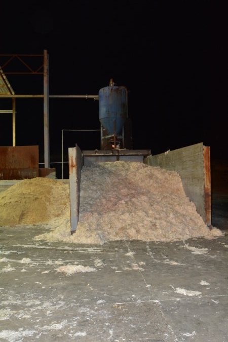 Pile of broiler feathers and feet outside rendering plant