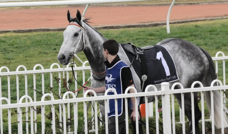 Rosehill Racecourse