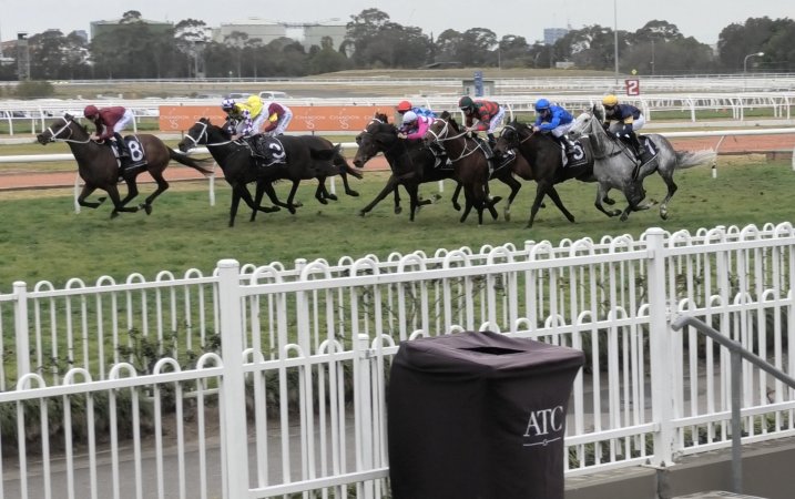 Rosehill Racecourse