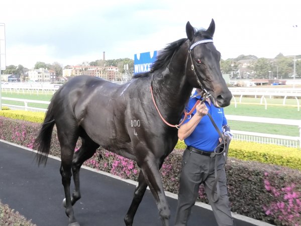 Royal Randwick Racecourse