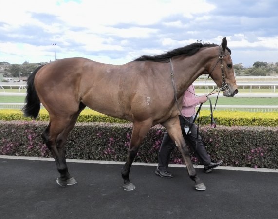 Royal Randwick Racecourse