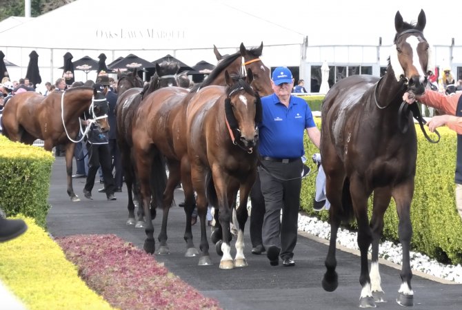 Royal Randwick Racecourse